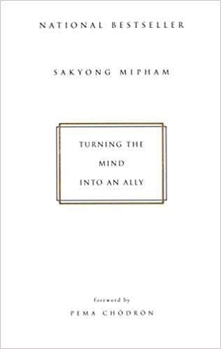 Sakyong Mipham – Turning the Mind Into an Ally Audiobook